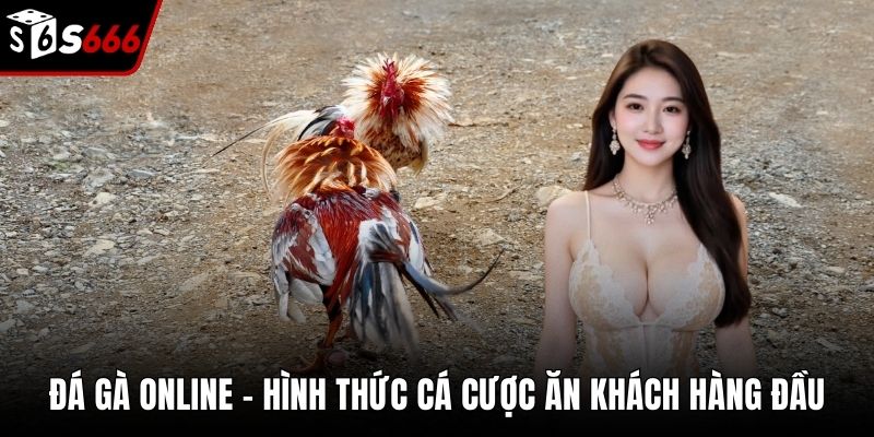 Đá Gà Online - Hình Thức Cá Cược Ăn Khách Hàng Đầu