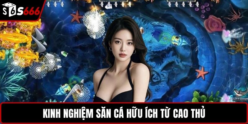 Kinh nghiệm săn cá hữu ích từ cao thủ