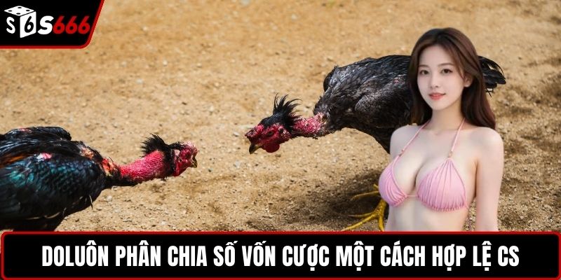 Luôn phân chia số vốn cược một cách hợp lệ 