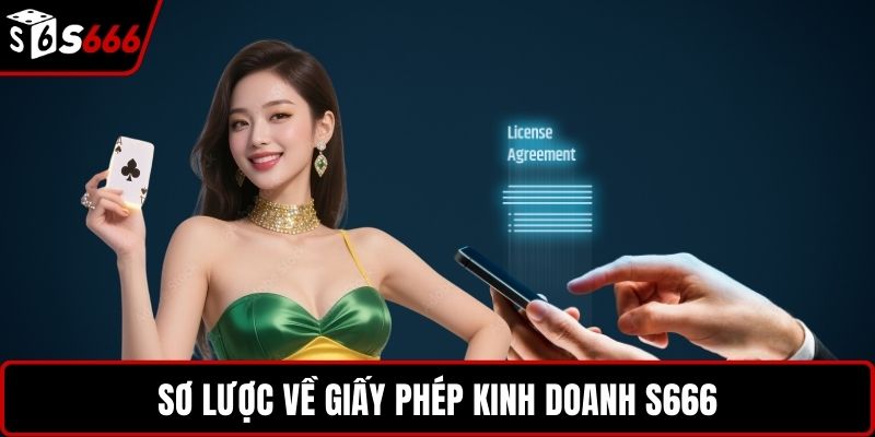 Sơ lược về giấy phép kinh doanh S666