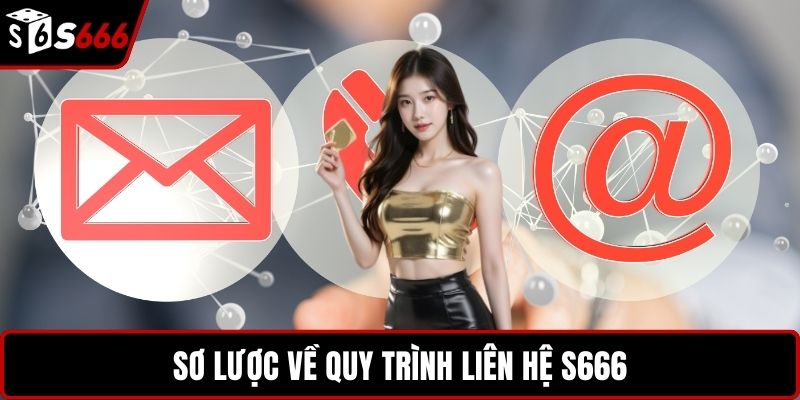 Sơ lược về quy trình liên hệ S666