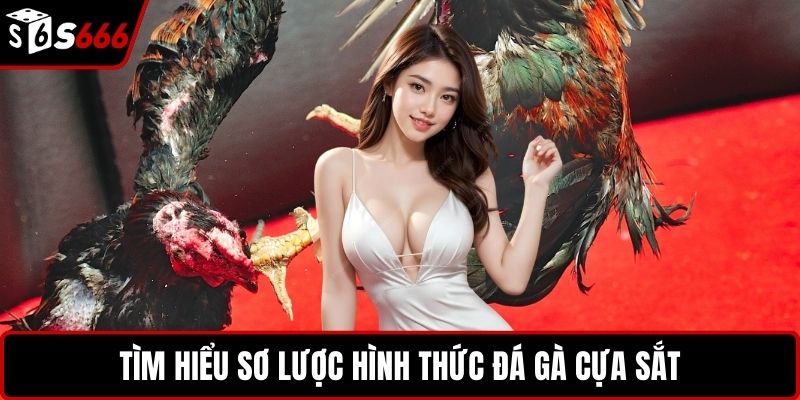 Tìm hiểu sơ lược hình thức đá gà cựa sắt