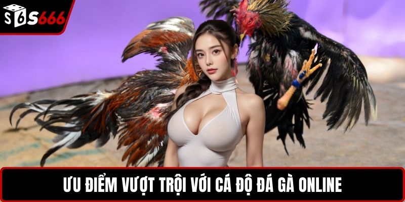 Ưu điểm vượt trội với cá độ đá gà online